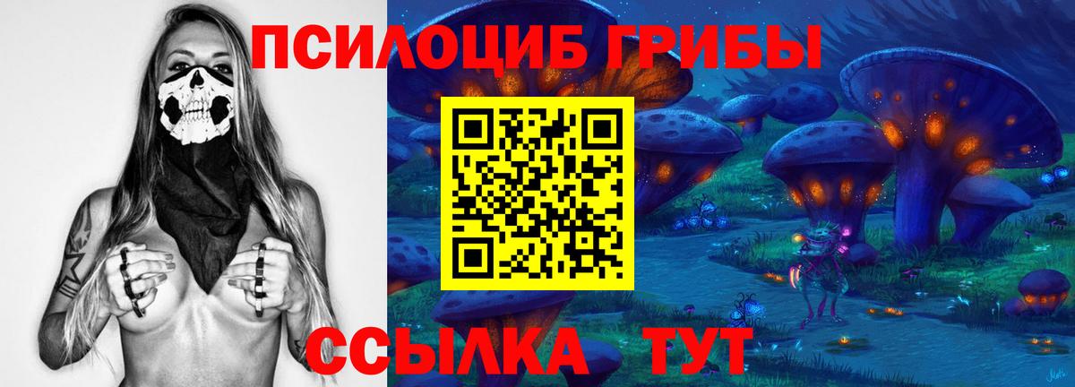 Рубцовск  Галлюциногенные грибы Psilocybine cubensis  Псилоцибиновые грибы MAGIC MUSHROOMS  Вход с VPN 